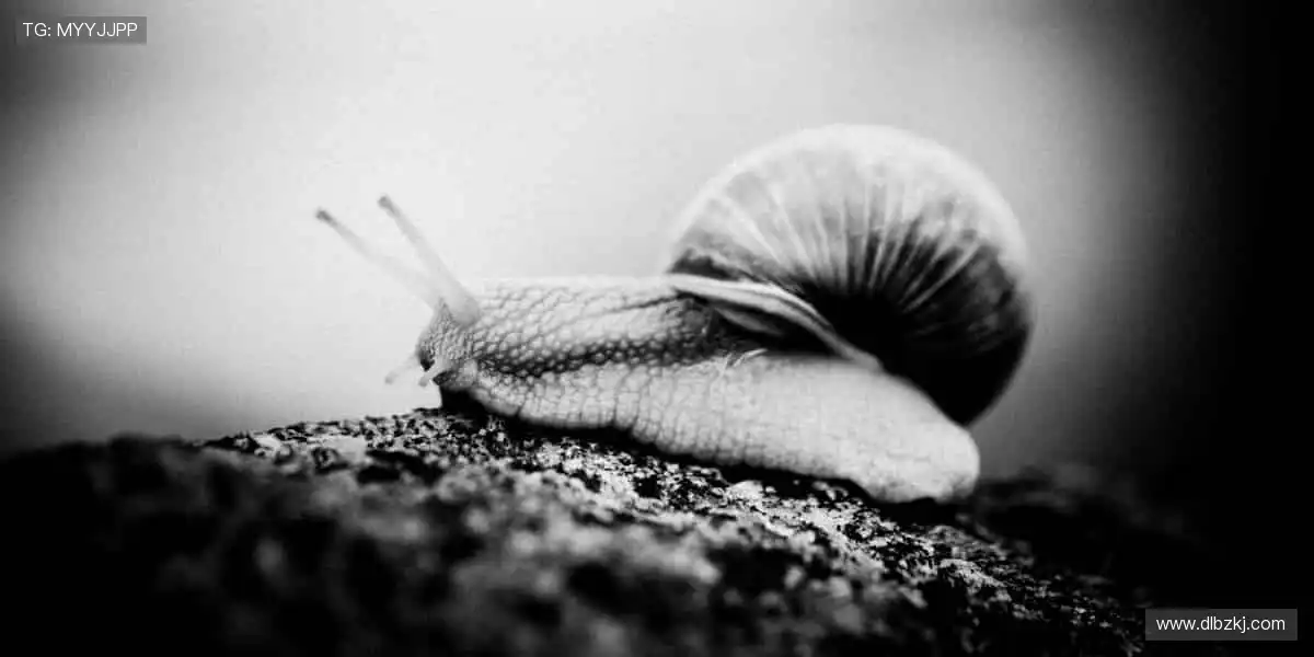 赛事精彩不停，直播永不打烊！🎯🚀